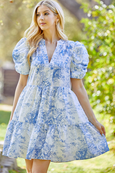 Bleu Print V-neck Dress