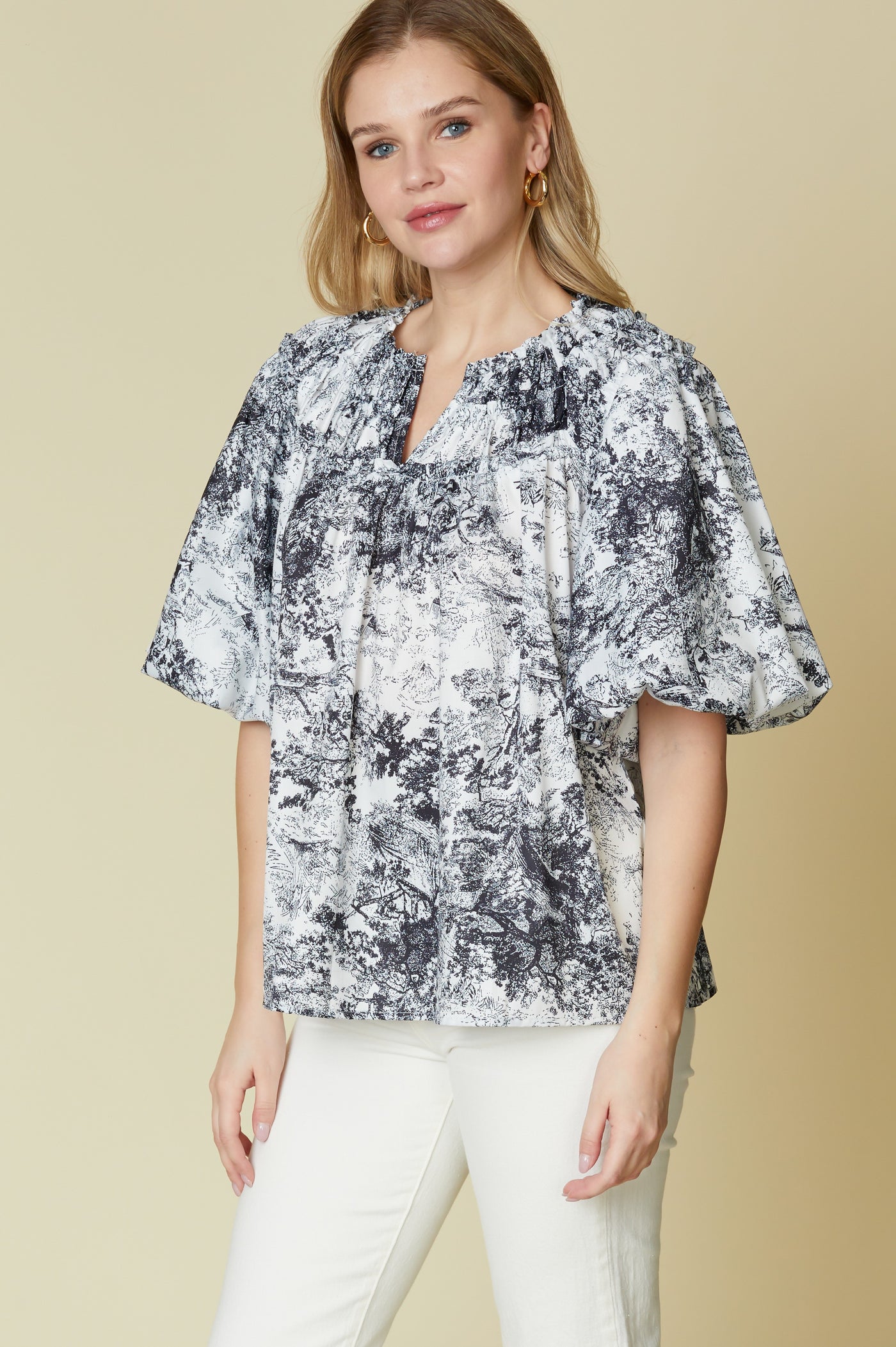 Ina Balloon Sleeve Top