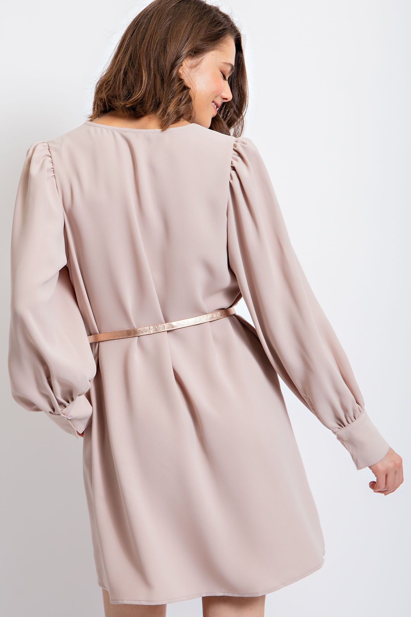 Chris V-neck Bubble Sleeve Dress