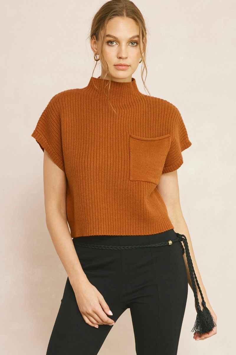 Annie Cropped Mock Neck Sweater