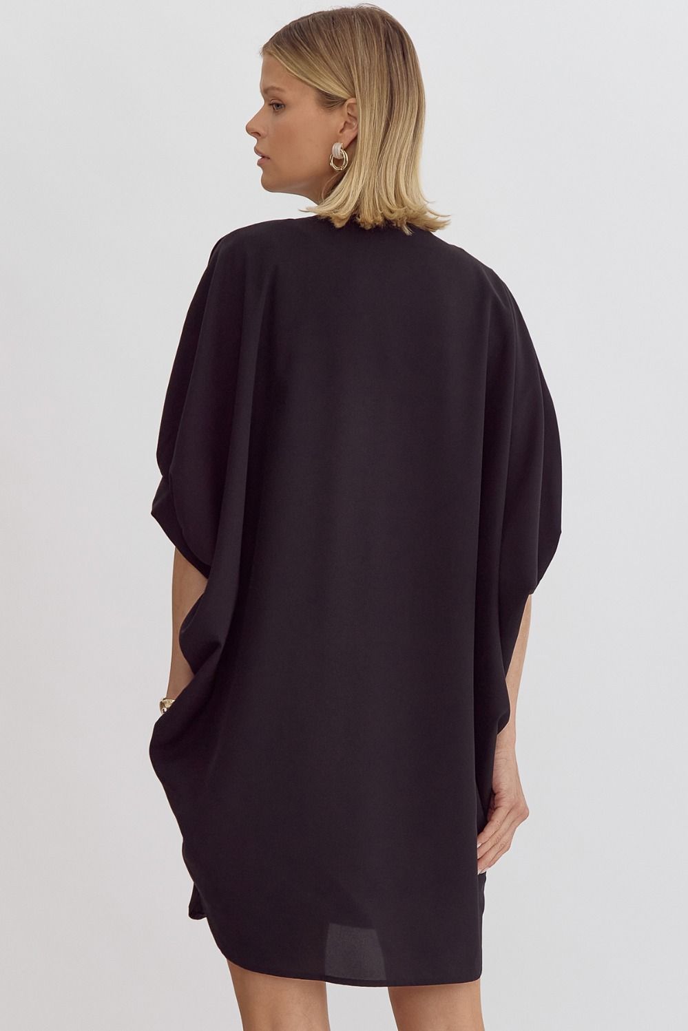 Shasta  V-neck Bubble Sleeve Dress