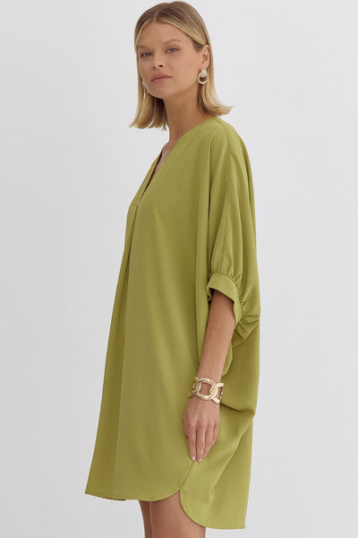 Shasta  V-neck Bubble Sleeve Dress